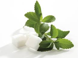 Stevia